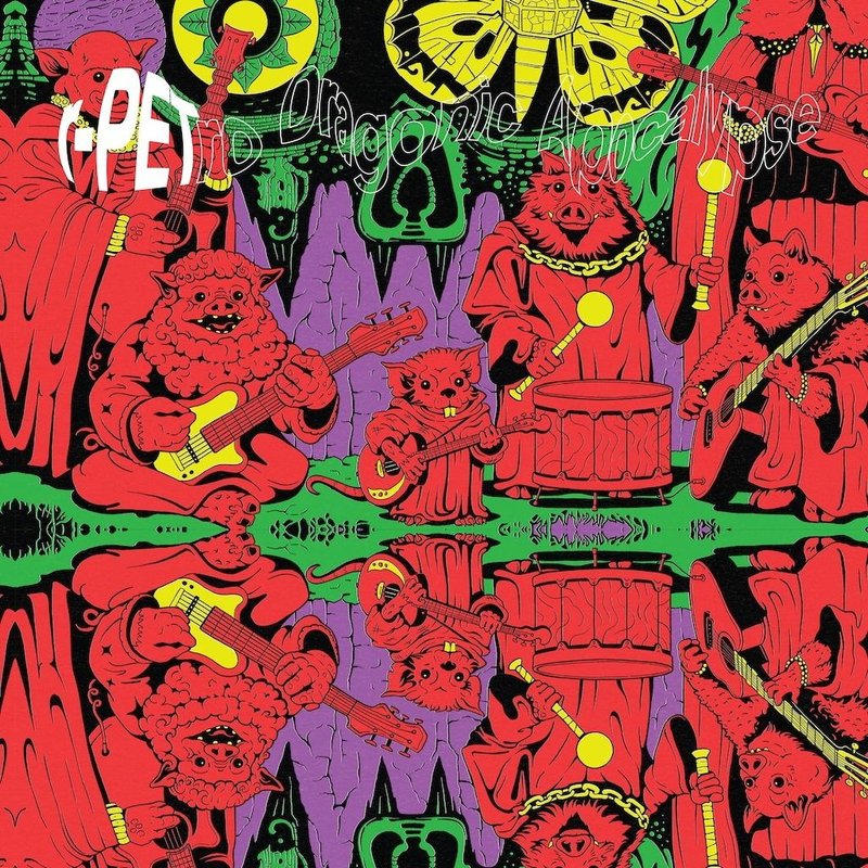 Lizard Cover